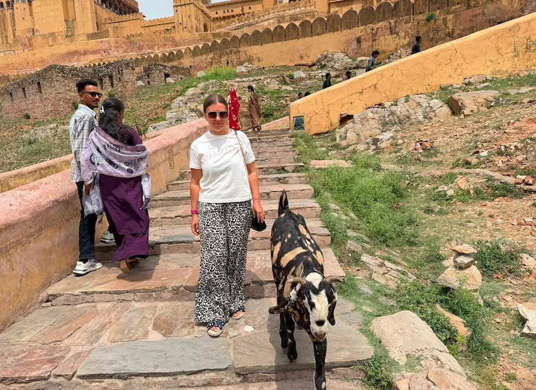 Picture 60 for Activity From Delhi: Private 4 Days Golden Triangle Luxury Tour 3