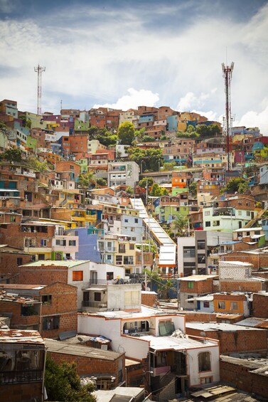 Picture 35 for Activity Medellín: Full-Day Tour - City Highlights, Comuna 13 & Lunch 4