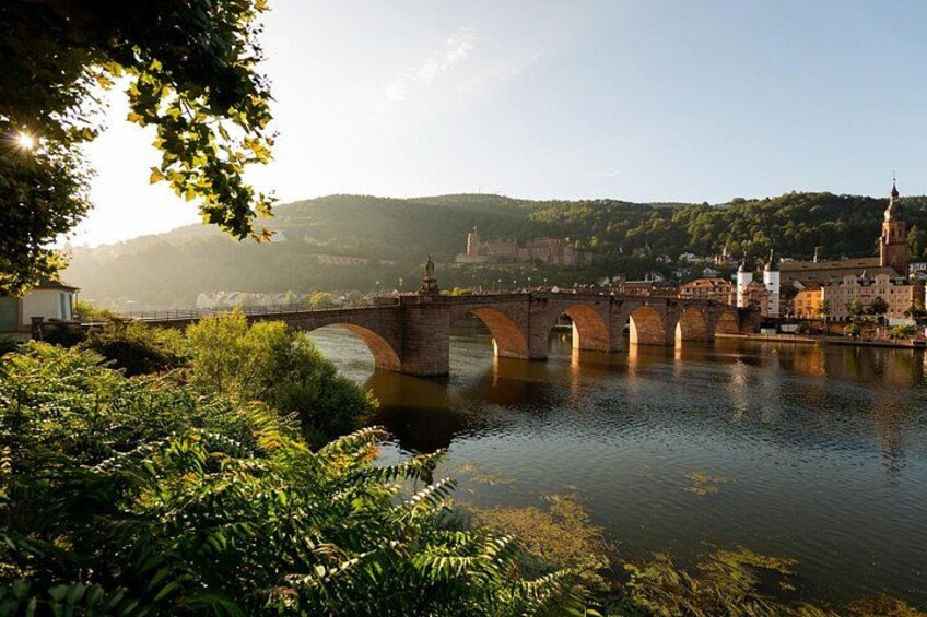 Private day trip: from Frankfurt to Heidelberg and back 3