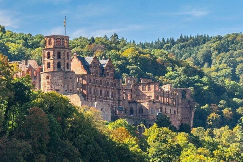 Private day trip: from Frankfurt to Heidelberg and back 2