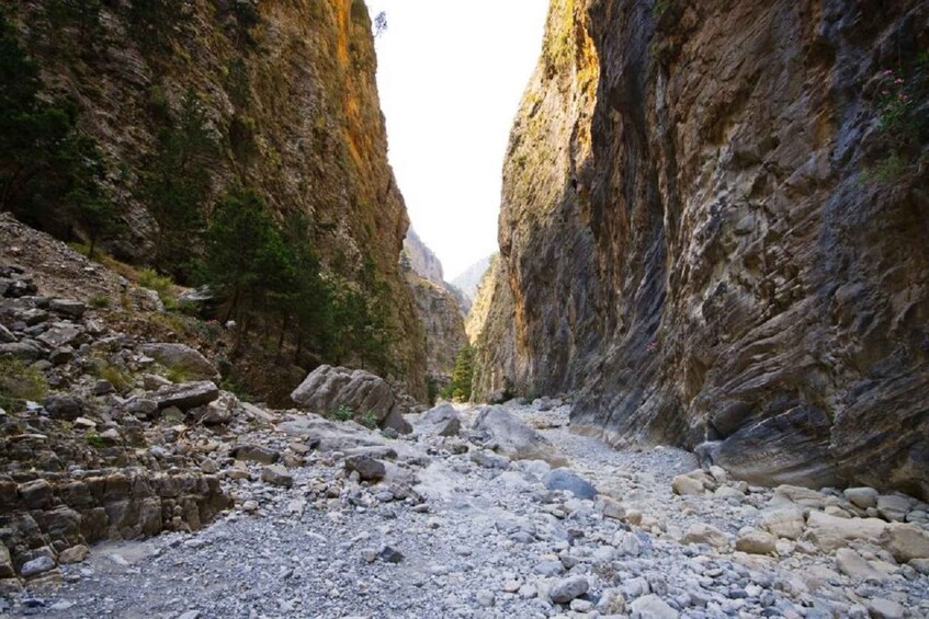 Picture 2 for Activity From Rethymno: Samariá Gorge Full-Day Hike 4