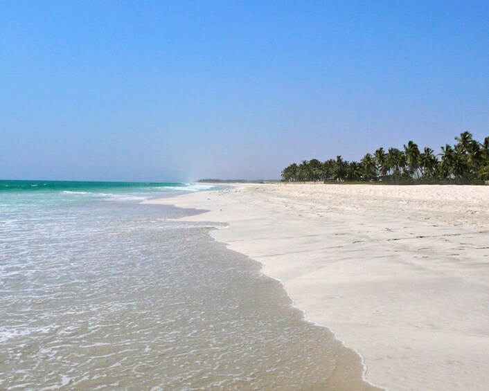 Picture 3 for Activity Salalah: Horse Riding by the Beach 2