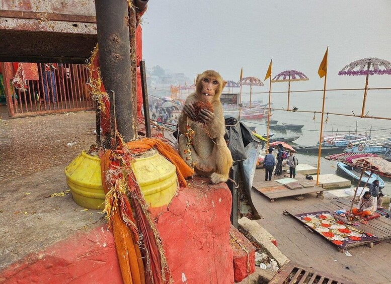 Picture 94 for Activity Varanasi & Sarnath: Full-Day Tour with Ganges Boat Ride 4