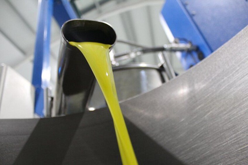 Guided tour and olive oil tasting in Alhaurin el Grande (Málaga) 2
