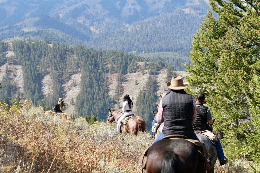 People riding horses on a mountain trail with dense forests in the background. 2
