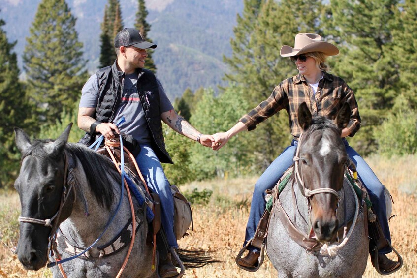 Two people on horseback in a grassy field with trees in the background. 3