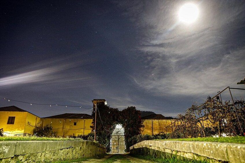 night view 5