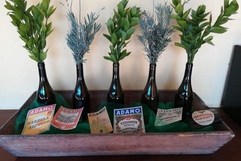 Wine Tour in the historic Baglio Florio Adamo with Lunch 3