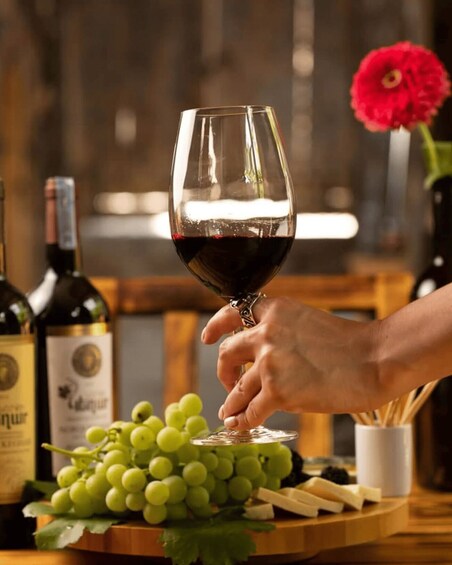 A hand holding a wine glass with red wine, a bunch of green grapes, and a red flower in the background. 2