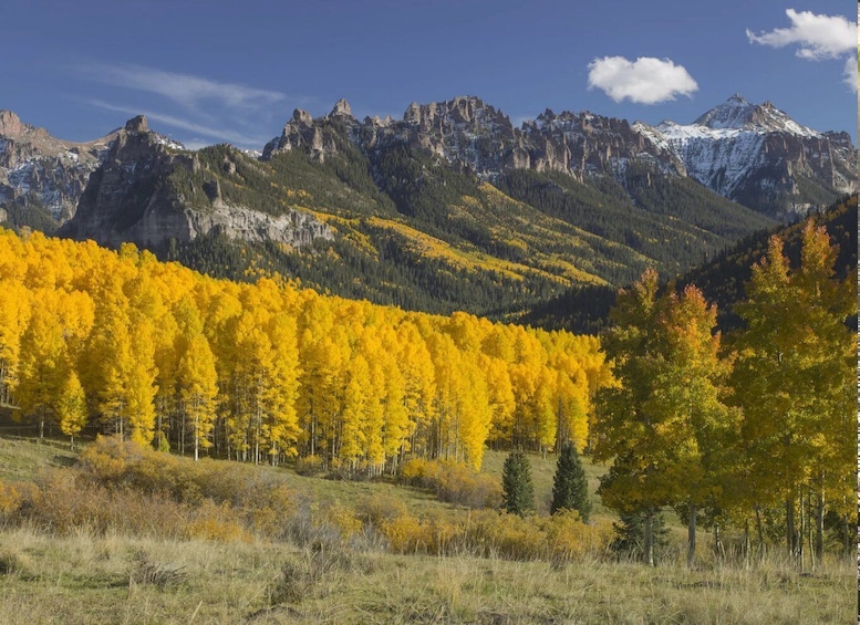 Rocky Mountain National Park Guided Tour - From Denver 2
