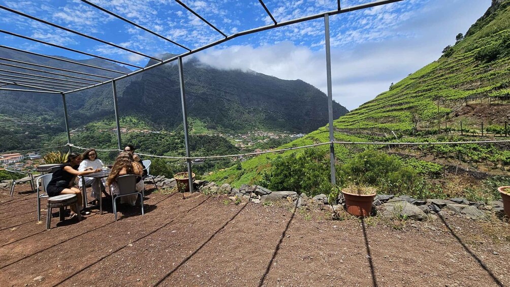 Picture 11 for Activity Madeira: Vineyard Tour w/ Wine Tasting & Skywalk 3