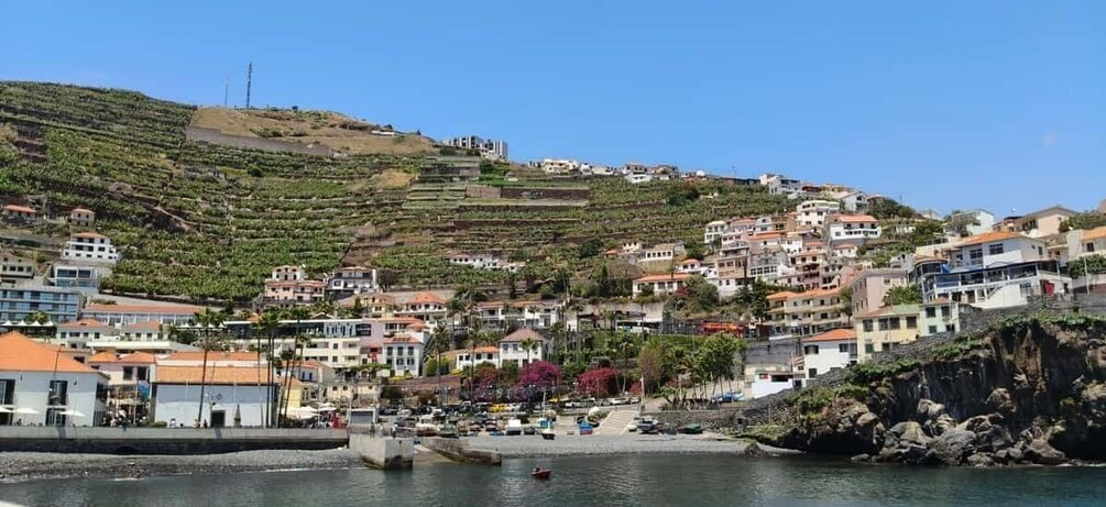 Picture 17 for Activity Madeira: Vineyard Tour w/ Wine Tasting & Skywalk 4