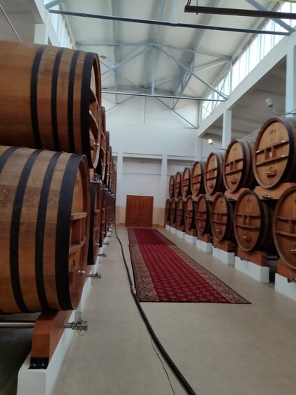 Picture 13 for Activity Transnistria Heritage Tour an Authentic Cognac Experience 2