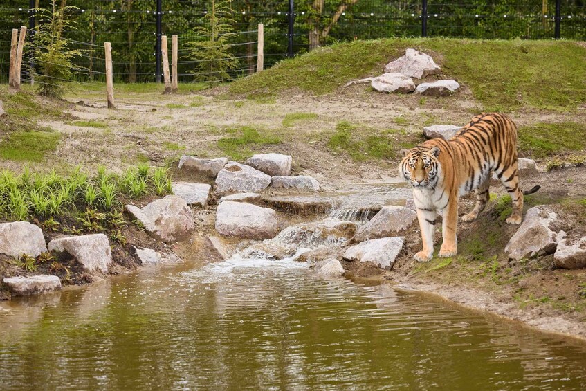 Eindhoven Zoo Entry Ticket 1