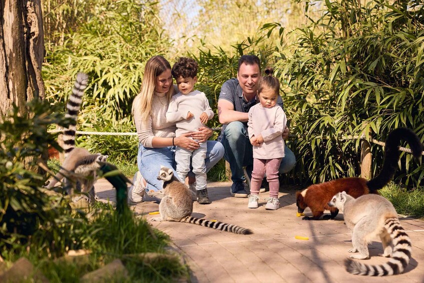 Picture 4 for Activity Eindhoven Zoo Entry Ticket 4