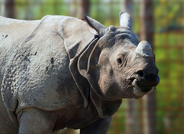 Picture 1 for Activity Eindhoven Zoo Entry Ticket 5