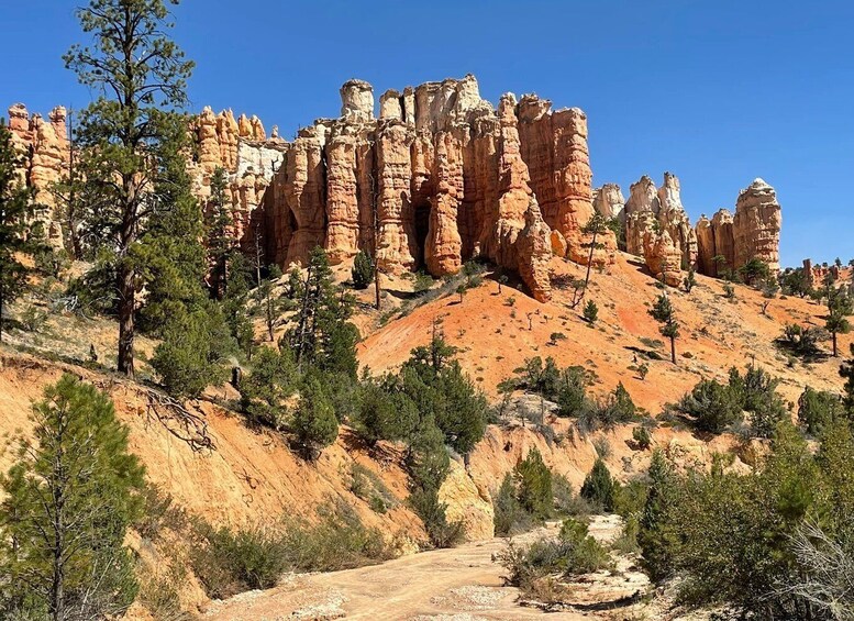 A desert landscape with red rock formations and sparse vegetation. 5