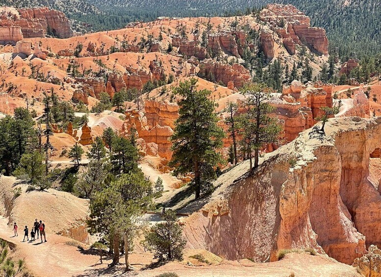 A rugged landscape with red rock formations and scattered trees. 4