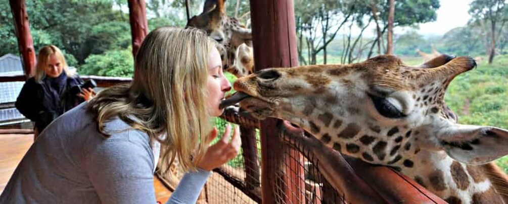 Picture 6 for Activity Giraffe Center, Elephant Orphanage and Bomas of Kenya Tour 5