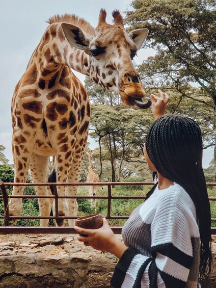 Picture 3 for Activity Giraffe Center, Elephant Orphanage and Bomas of Kenya Tour 2