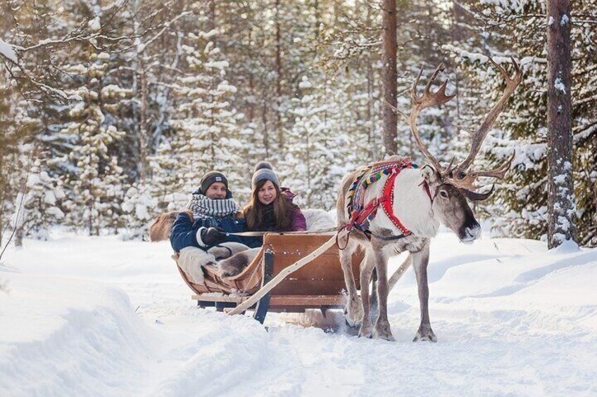 Santa Claus Village: Husky and Reindeer Combo with Hotel Transfer 3
