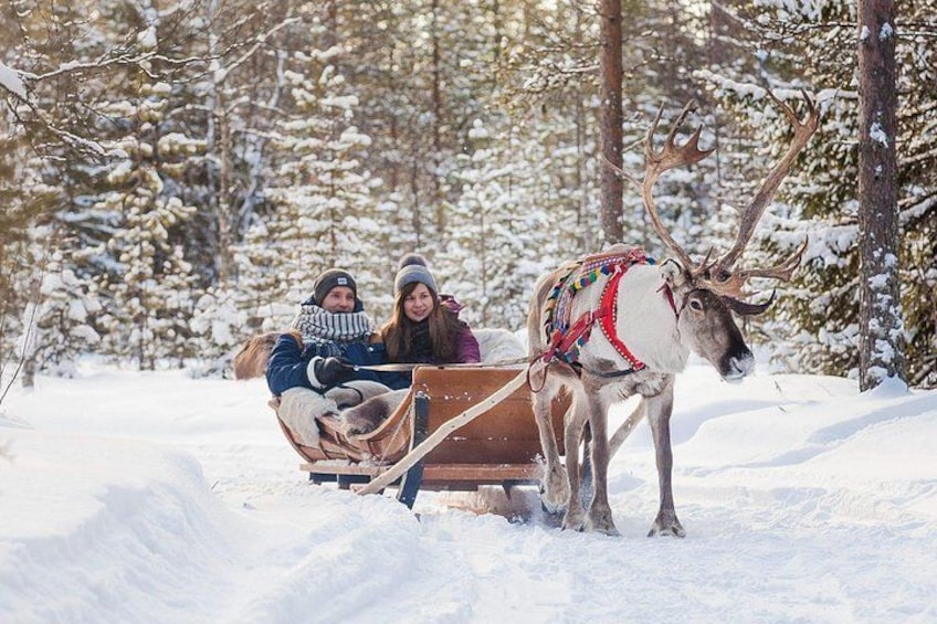 Una renna che traina una slitta in una foresta innevata. 5
