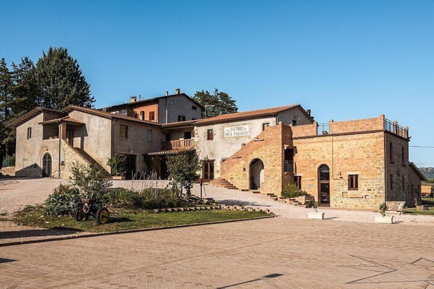 Private visit to the Brugnoni winery with tasting of 4 wines 4