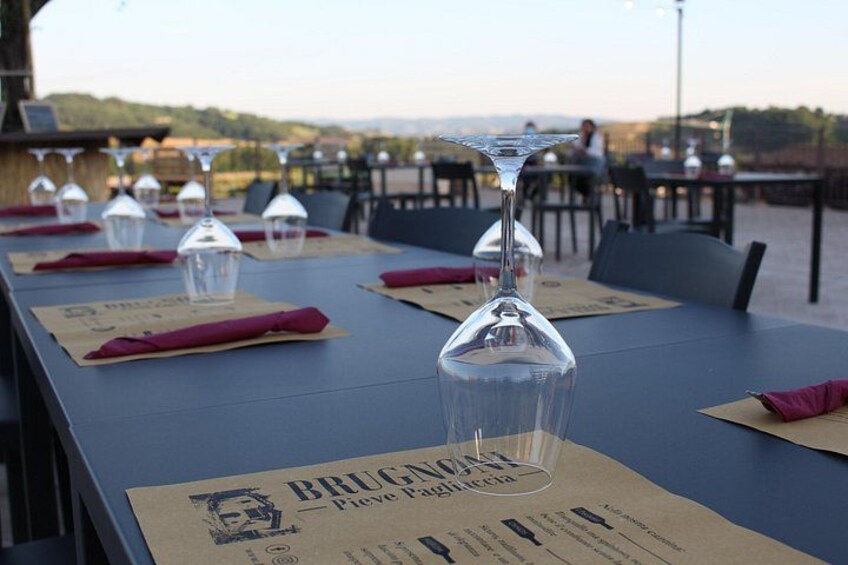 Private visit to the Brugnoni winery with tasting of 4 wines 3