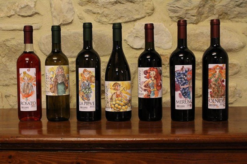 Private visit to the Brugnoni winery with tasting of 4 wines 1