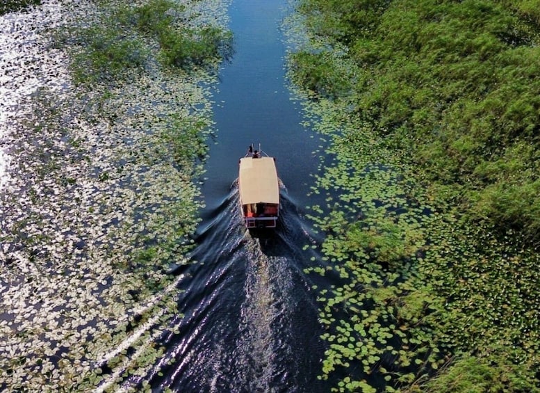 A boat navigating a narrow waterway surrounded by dense greenery. 5