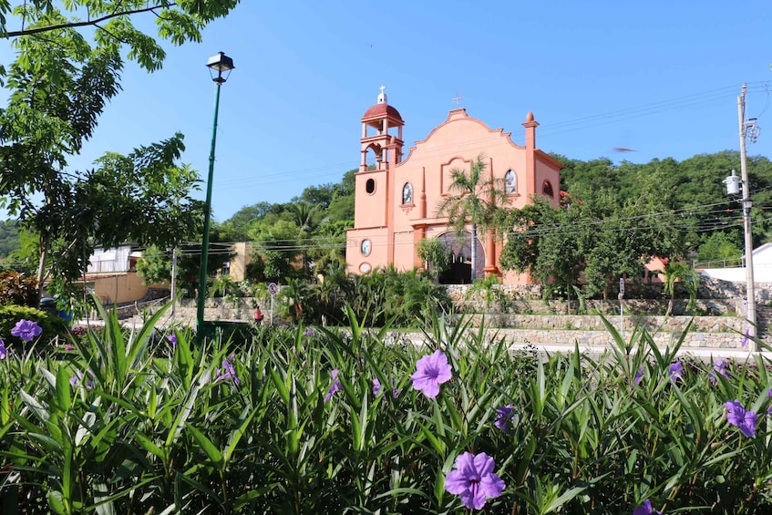 A pink church with a bell tower, surrounded by greenery and purple flowers. 2