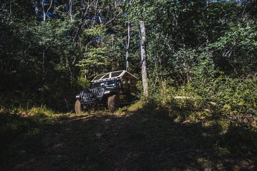 Smoky Mountains Roaring Fork Guided Sightseeing Tour by Jeep 2