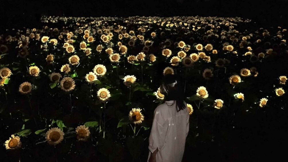 Osaka: teamLab Botanical Garden Entry Ticket 1