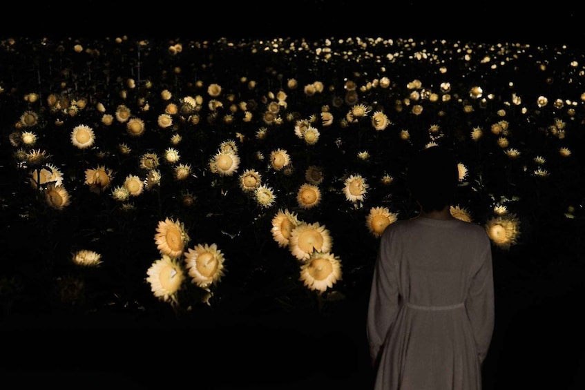 Osaka: teamLab Botanical Garden Entry Ticket 1