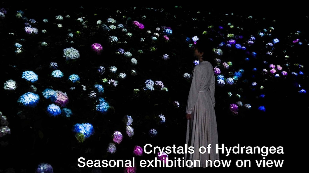Osaka: teamLab Botanical Garden Entry Ticket 1