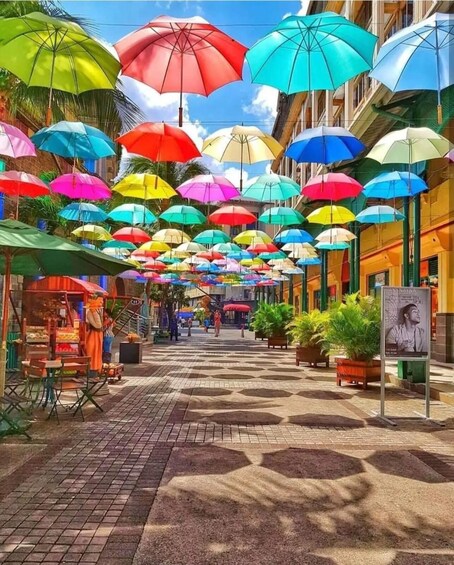 Mauritius: Full Day Tour of the North with Hotel Transfer 1