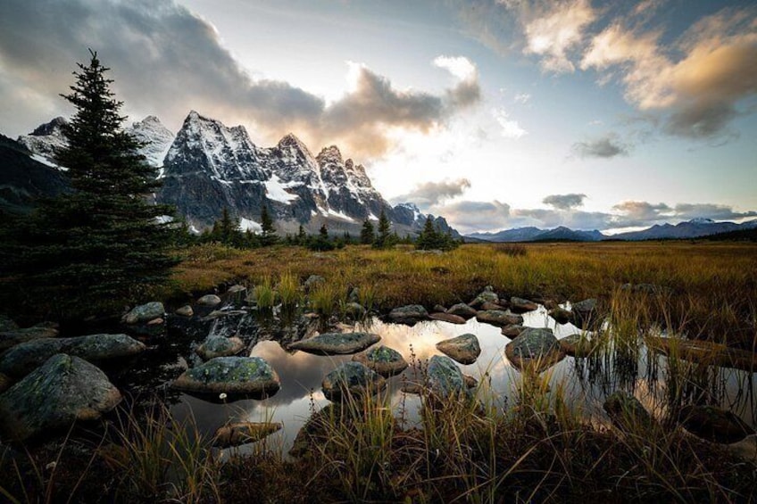 A mountain landscape with a pond, rocks, and a coniferous tree. 1