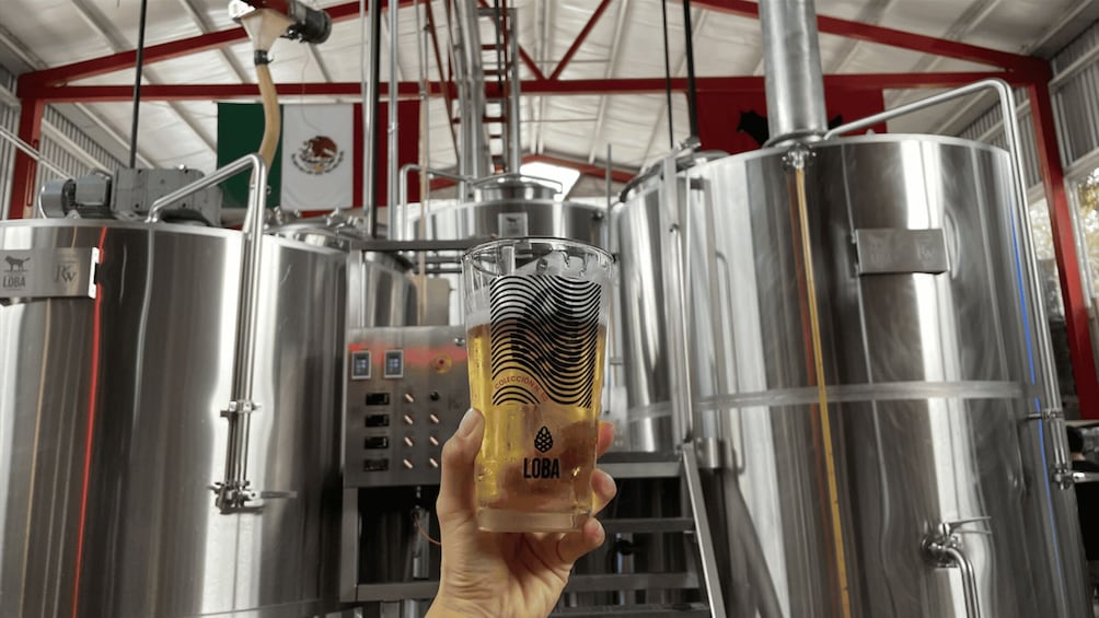 Guadalajara Arquitecture and Brewery Tour 1