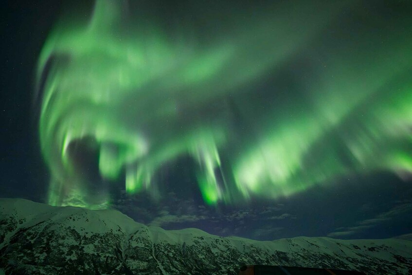 Picture 8 for Activity Anchorage: Aurora Borealis Northern Lights Photography Tour 2