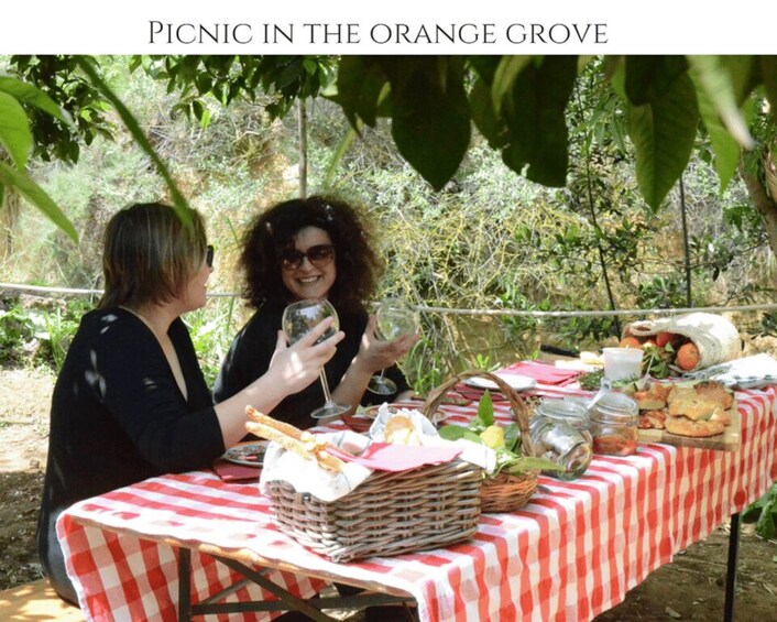 A picnic in the orange grove with a checkered tablecloth, baskets, and food items. 2