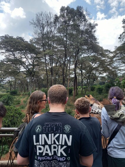 Picture 32 for Activity Nairobi: Private Safari, Elephant Orphanage & Giraffe Centre 5