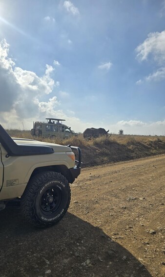Picture 27 for Activity Nairobi: Private Safari, Elephant Orphanage & Giraffe Centre 3