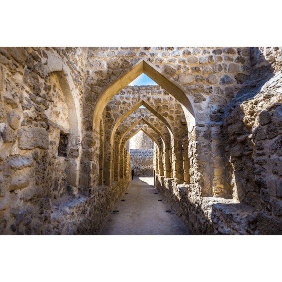 Picture 1 for Activity Manama: Bahrain City and Desert Tour with Transfers 3