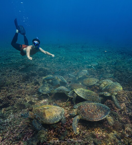 Picture 3 for Activity Muscat: Daymaniyat Islands Snorkeling Trip + BBQ-style Lunch 2