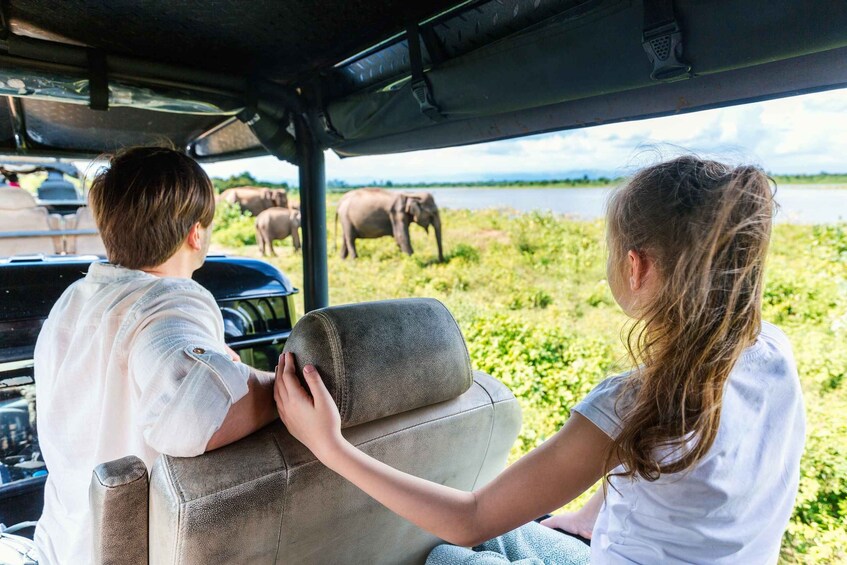 From Bentota: Udawalawe National Park Elephant Jeep Safari 1