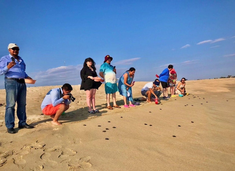 Picture 4 for Activity La Crucecita: Magic Lagoon Bioluminescence and Turtles Tour 2