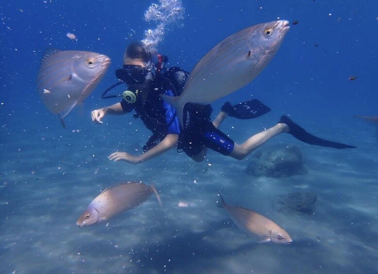 Picture 10 for Activity Rhodes: Dive, Snorkel or Relax — Full Day Boat Trip 2