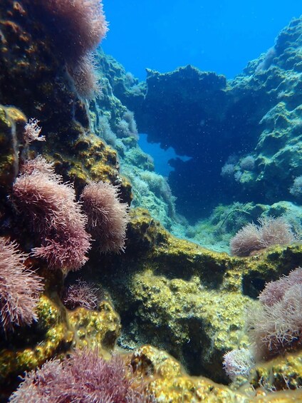 Picture 12 for Activity Rhodes: Dive, Snorkel or Relax — Full Day Boat Trip 4
