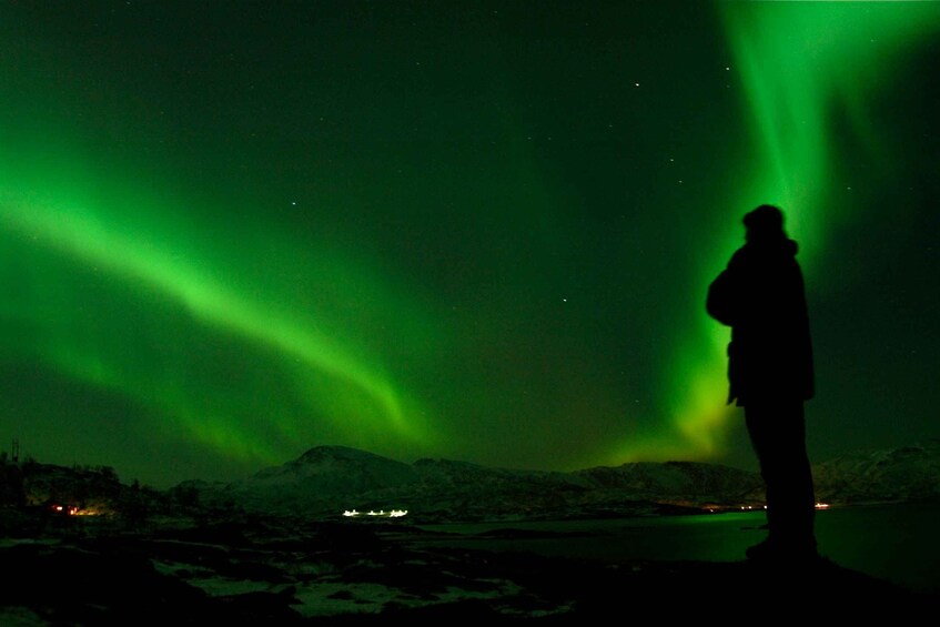 A silhouette of a person standing on a snowy landscape with green aurora borealis in the background. 3
