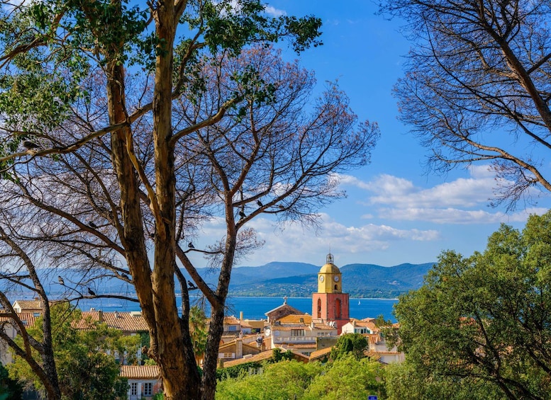 Picture 1 for Activity Mandelieu - St Tropez: round-trip ferry boat transfer 4